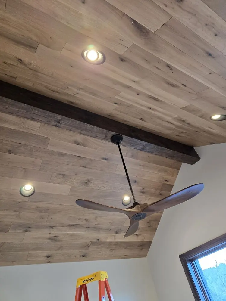 Fan and recessed lights