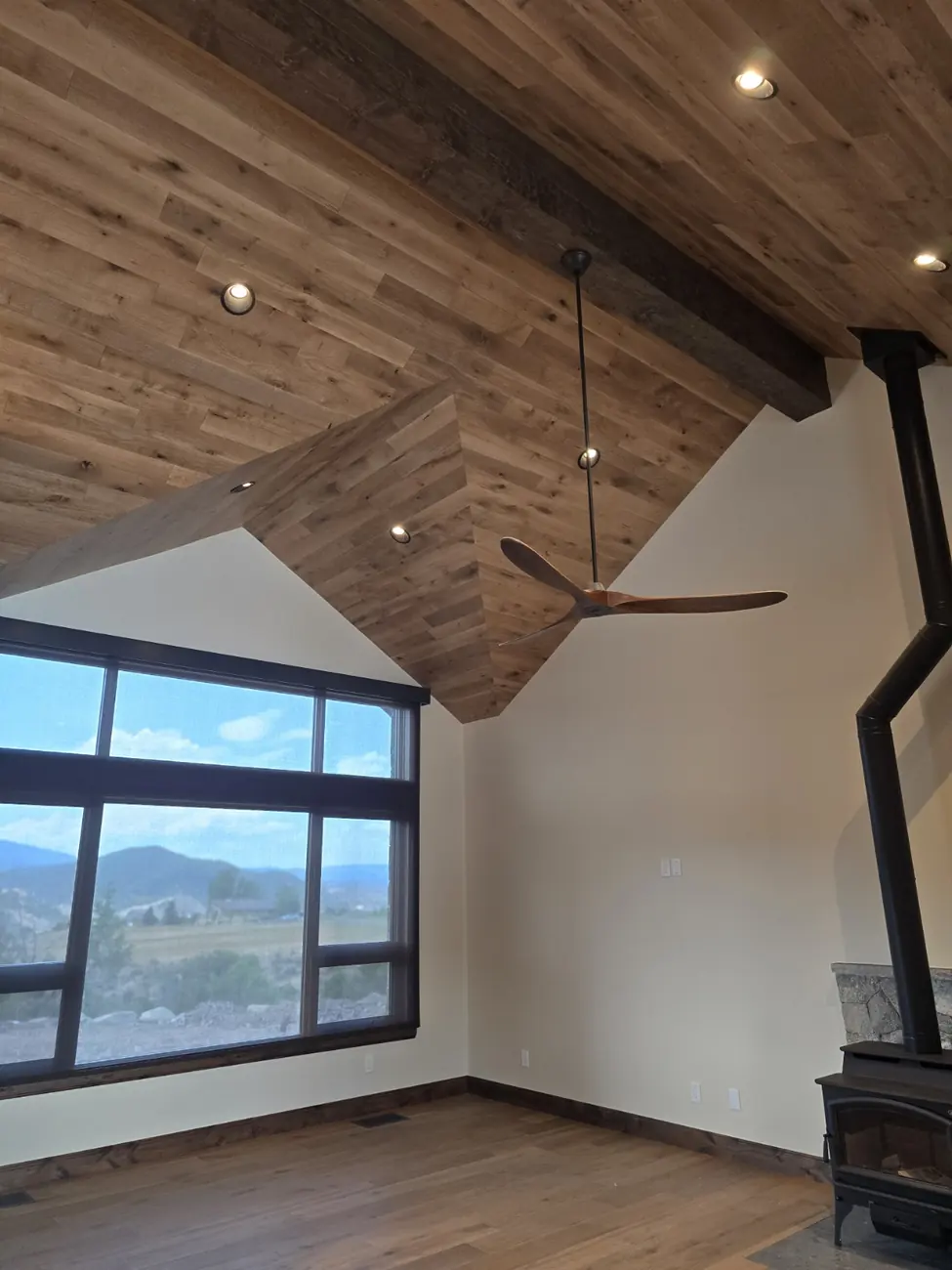 Great room fan